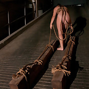 The Training of O Picture